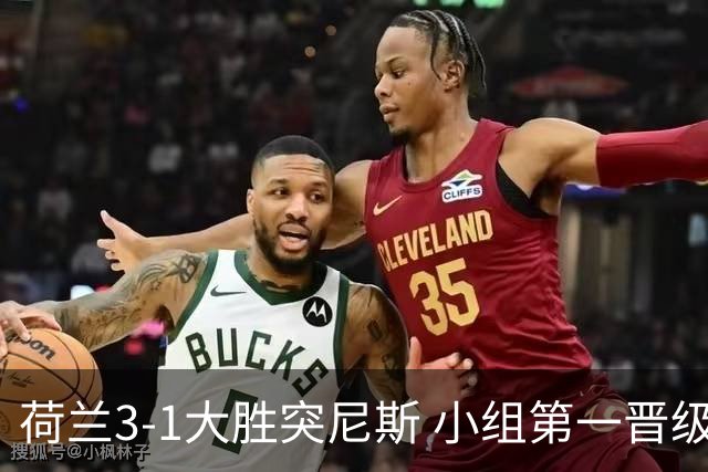 荷兰3-1大胜突尼斯 小组第一晋级淘汰赛将战摩洛哥