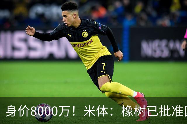 身价8000万！米体：橡树已批准国米引进帕斯，皇马起步价7000万欧